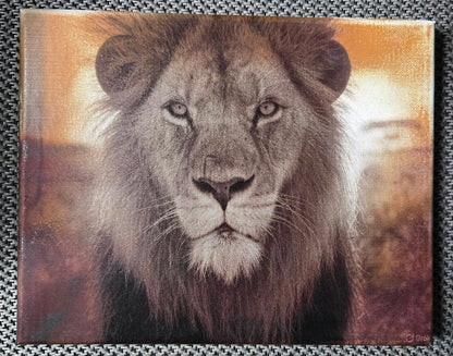 11"x14" Laser Engraved Cloth Canvas Wall Art